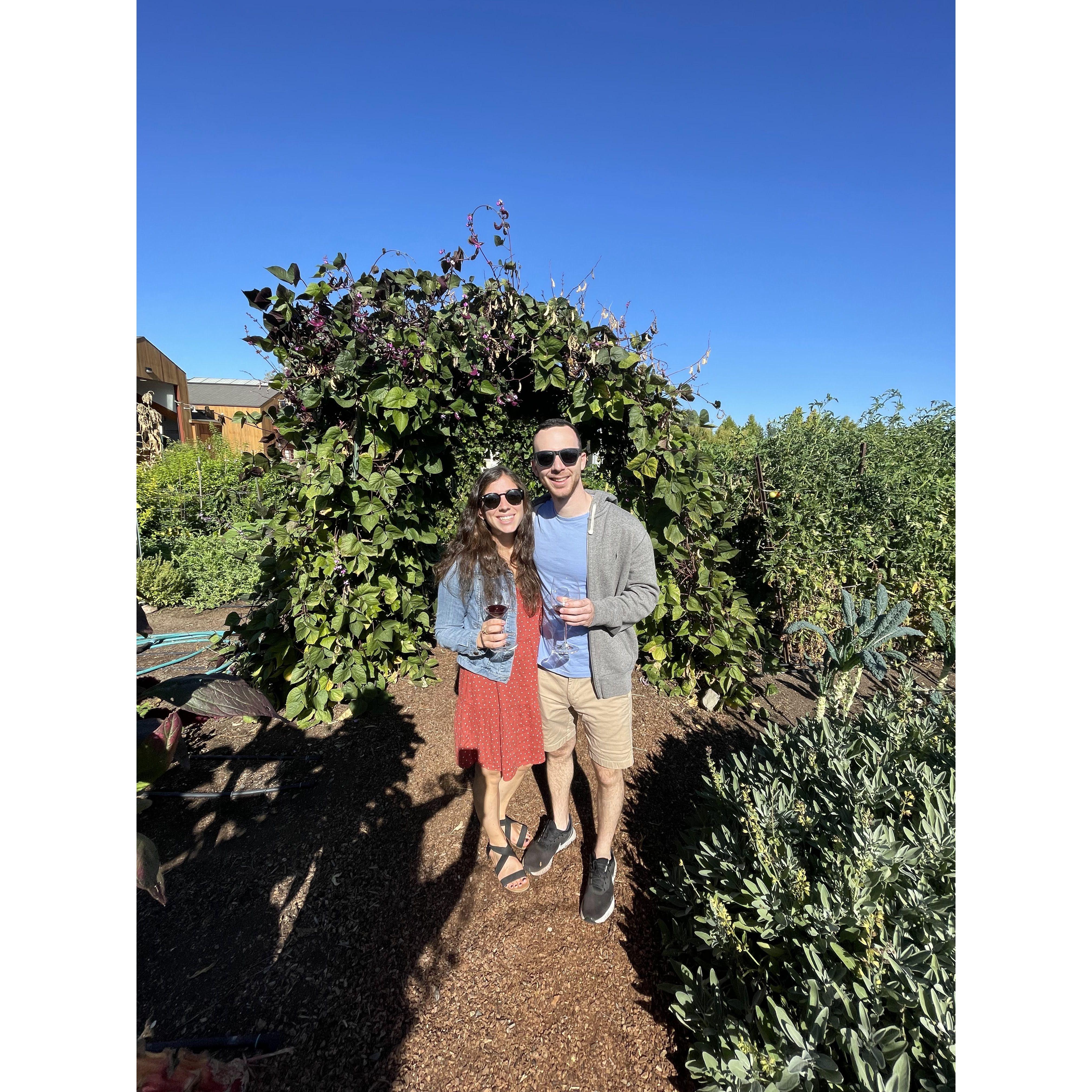 Cakebread Winery