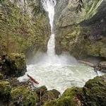 Wahclella Falls Trail
