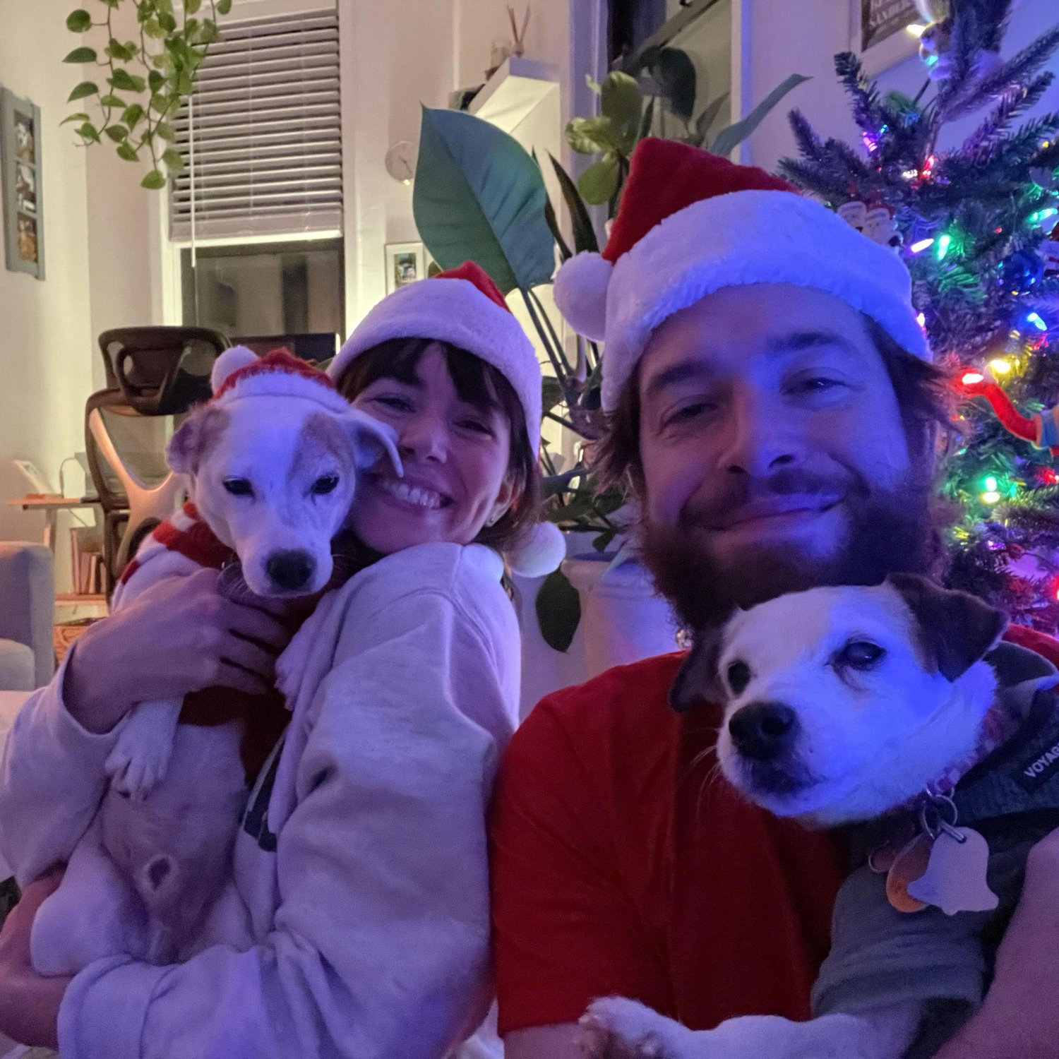 Randle's first Christmas! We swear he had more fun than this photo makes it look