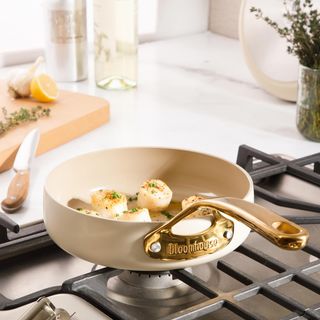Heavy Duty Nonstick Saute Pan
