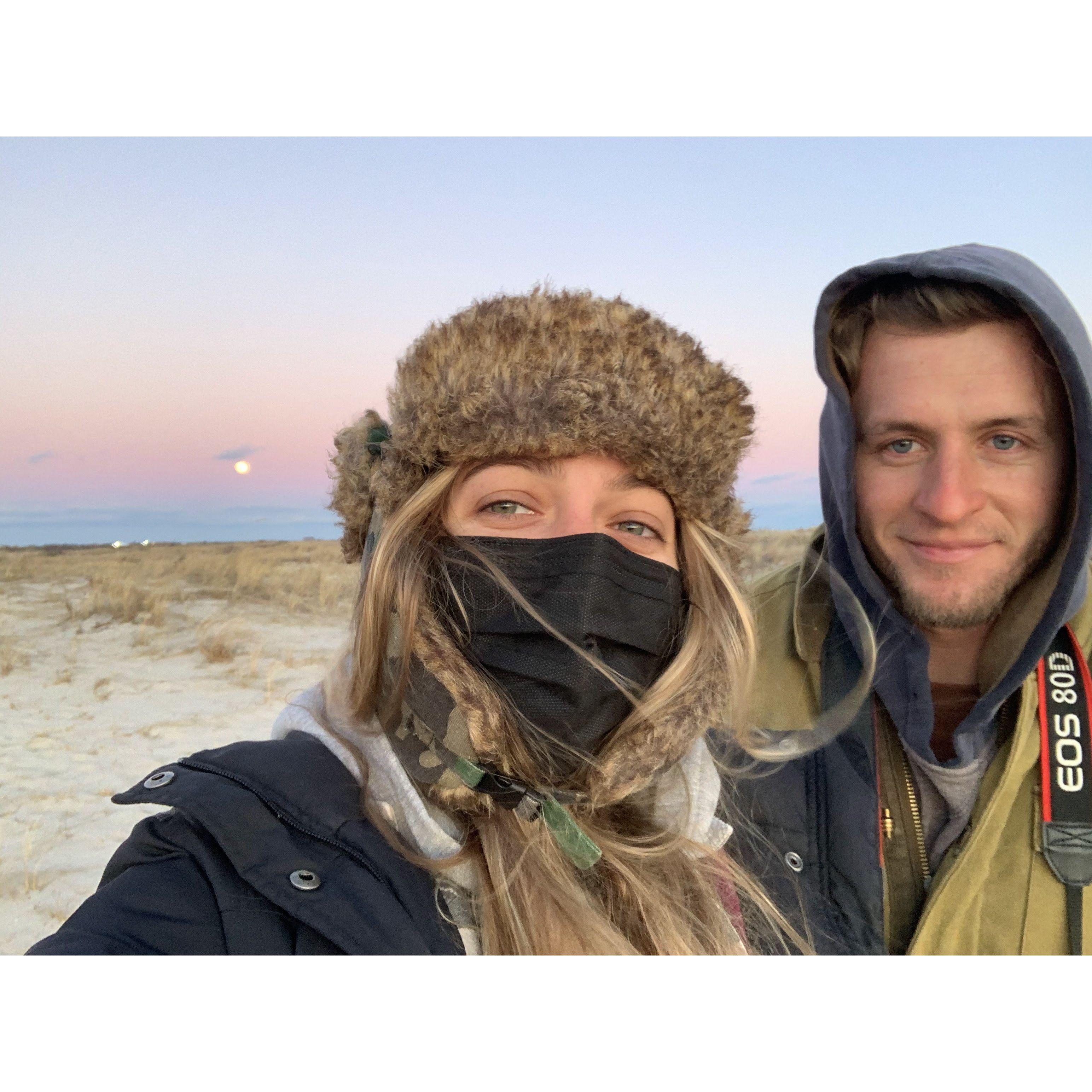 On the hunt for the snowy owl