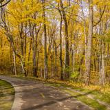 Petrifying Springs Park