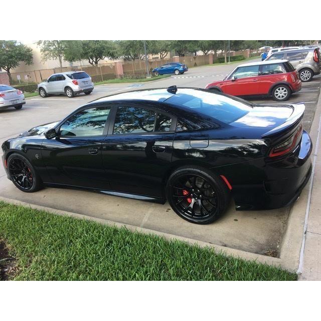 Our toy!!