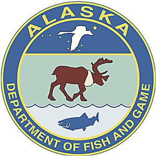 Alaska Fishing Licenses