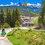 Winter Park Alpine Slide