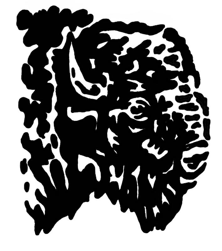 The Wedding Website of Paige Zolldan and Richard Marks