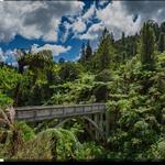 Bridge to Nowhere Lodge, Tours and Campground