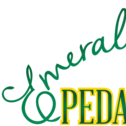 Emerald Coast Pedal Tours