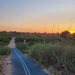 Mala Compra Trailhead