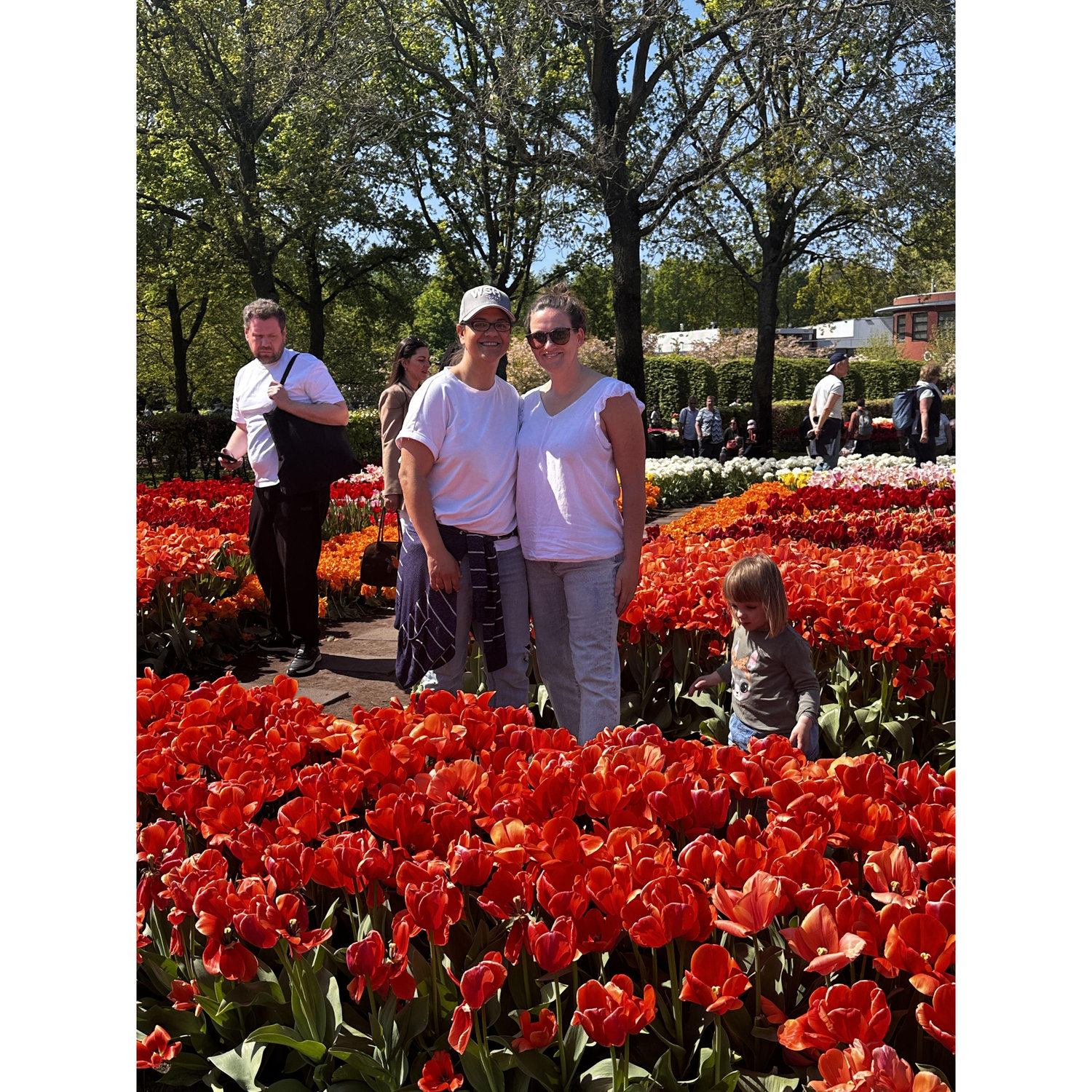 Keukenhof, Netherlands