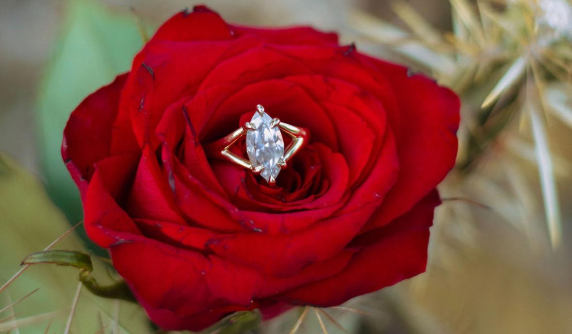 The Wedding Website of Ariana Catardi and Eduardo Martinez