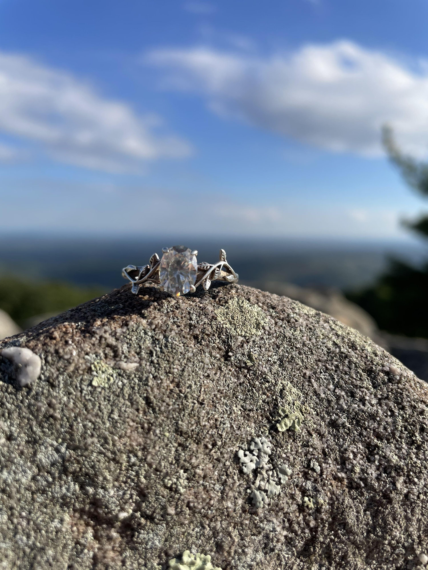 The Wedding Website of Alyssa Taylor and Mark Hawkins