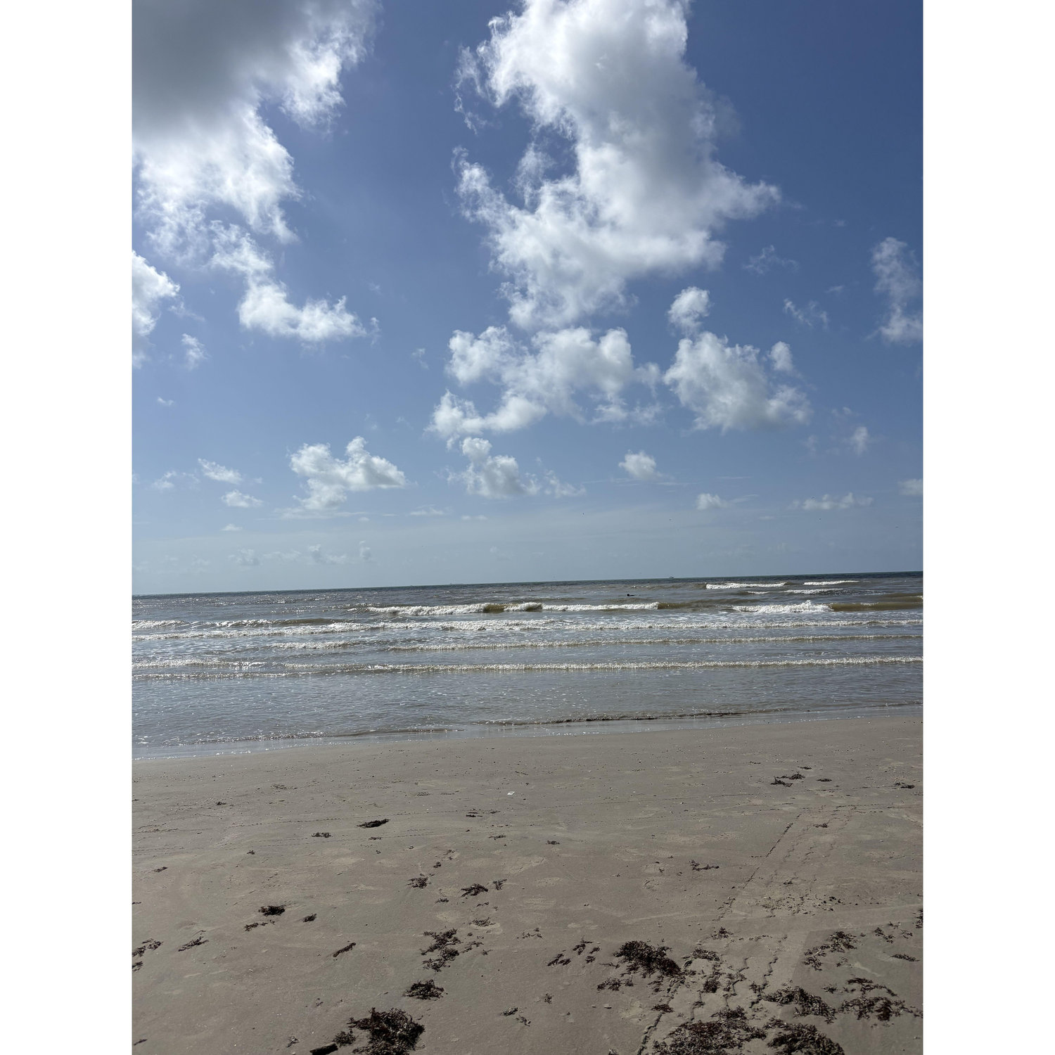 Galveston, TX 2025