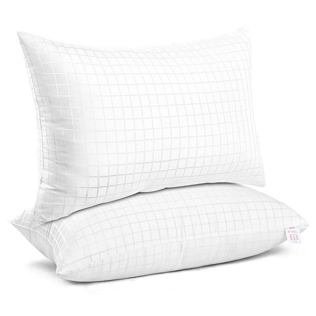 EIUE 2 Pack Queen Size Bed Pillows for Sleeping,Super Soft Down Alternative Microfiber Filled Pillows,20 x 30 Inches,White