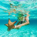 Snorkeling Through Prickly Pear