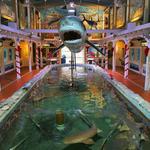 Key West Aquarium