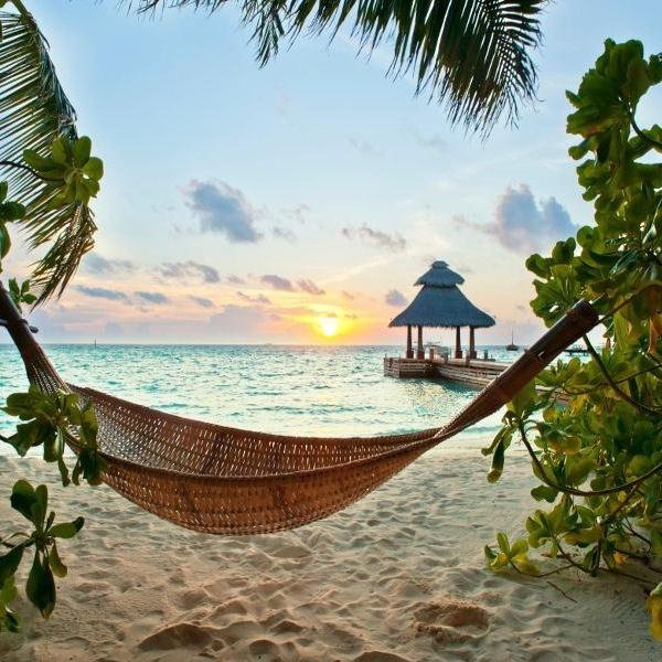 Honeymoon Fund