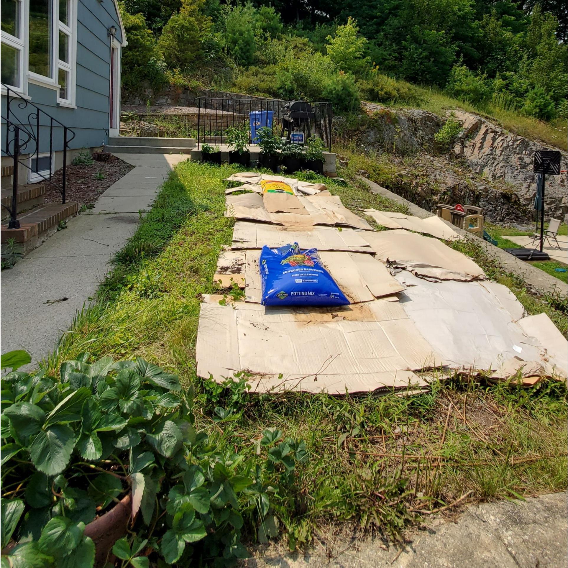 Future Garden Site.