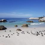 Boulders Beach