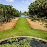 Fairchild Tropical Botanic Garden