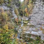 Robert H. Treman State Park