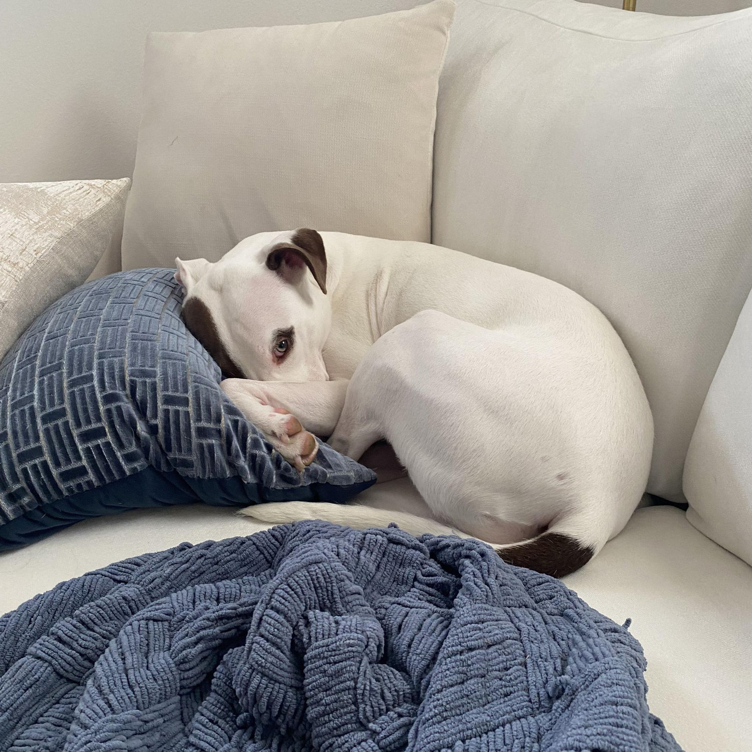 Dolce relaxing