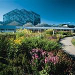 Frederick Meijer Gardens