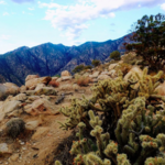 Cactus to Clouds Trail