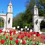 Sample Gates