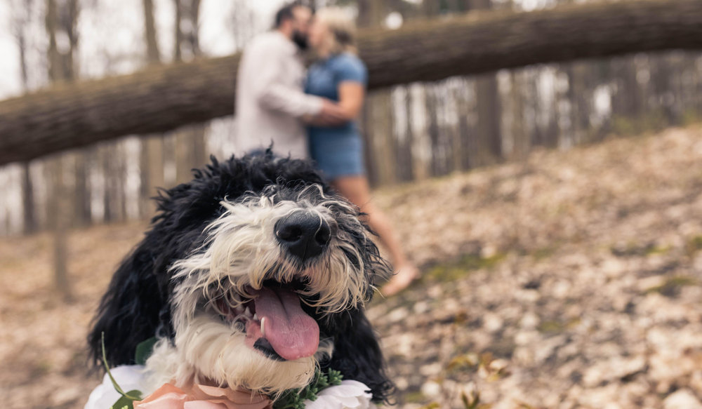 Julia Marsh and Alec Fowler's Wedding Website