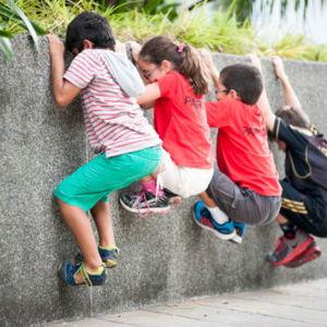 Pedro's parkour (and insurance) fund