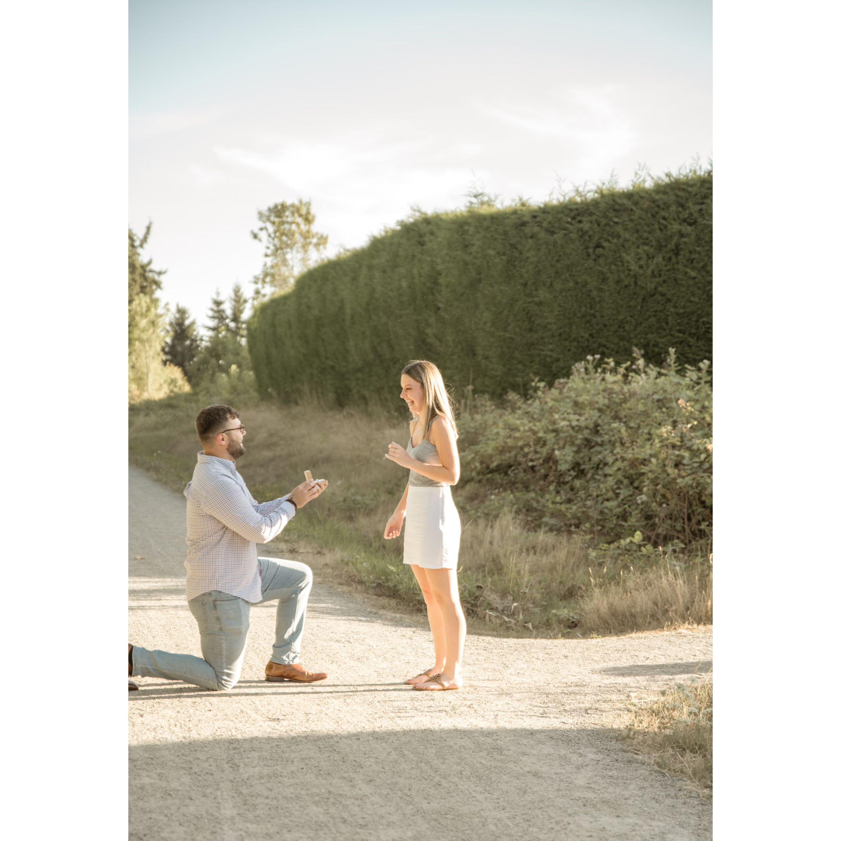 The proposal!