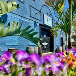 Beach Bee Meadery