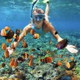 Snorkeling