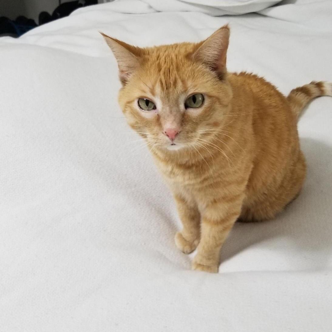 Little miss Eugene Doris