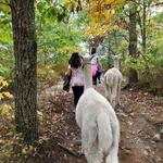 Laughing Brook Wildlife Sanctuary