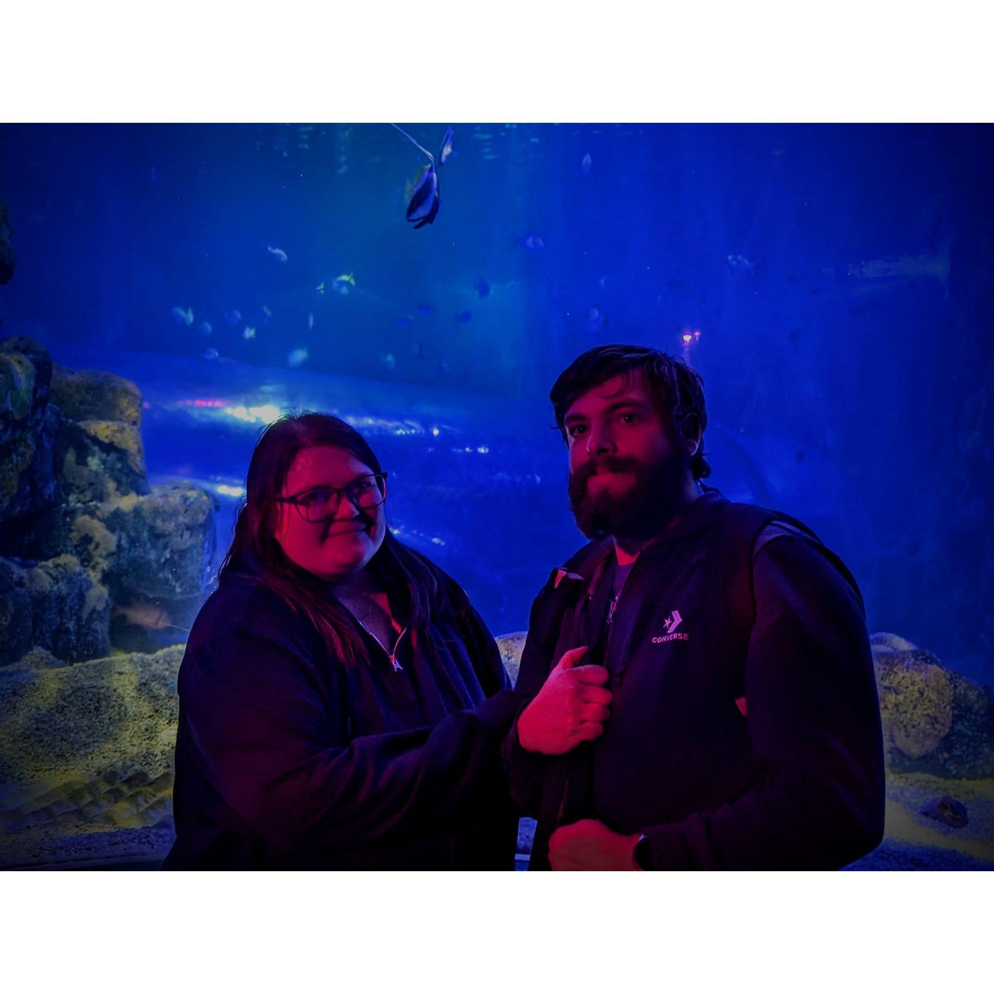 Sea life centre, Birmingham