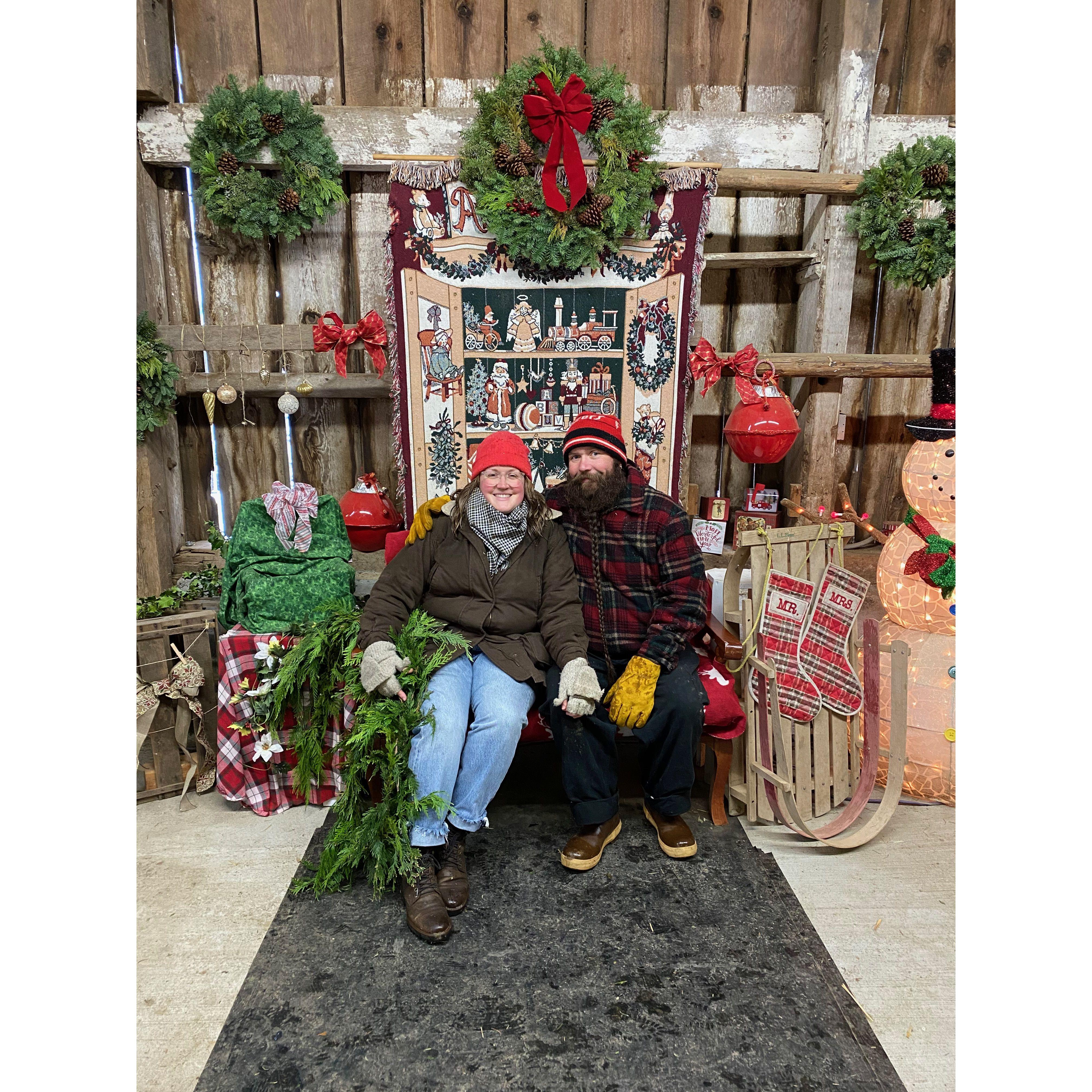 Christmas Tree adventures, 2023