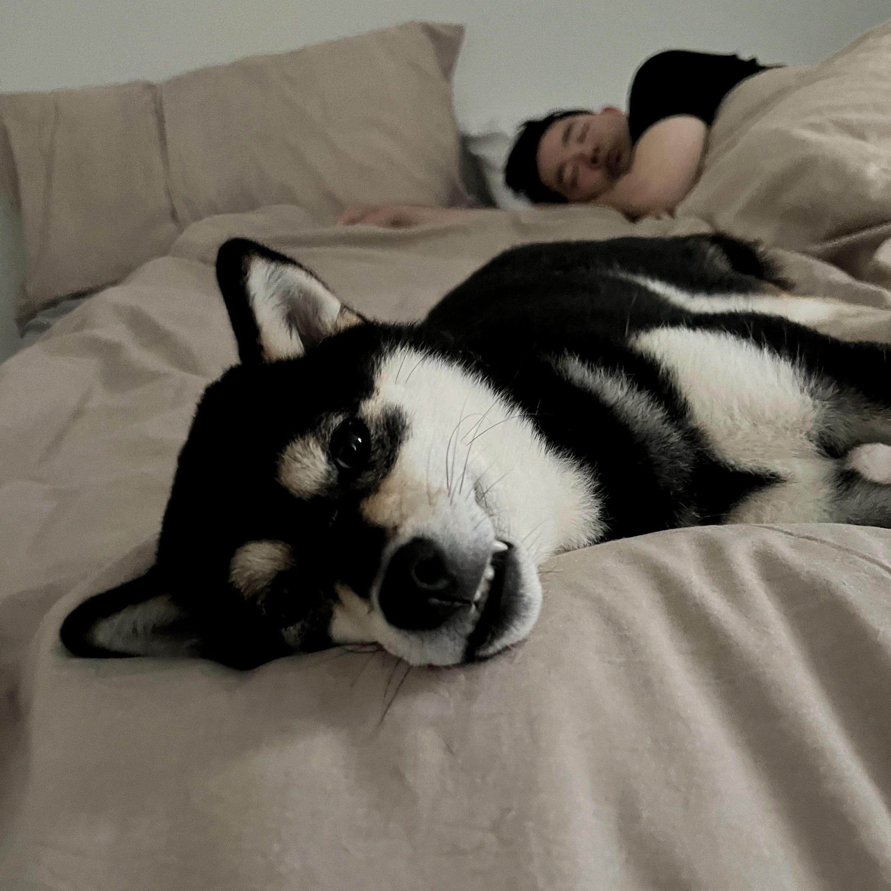 Yami and Matt