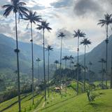 Salento & the Cocora Valley