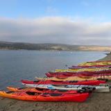 Blue Waters Kayaking