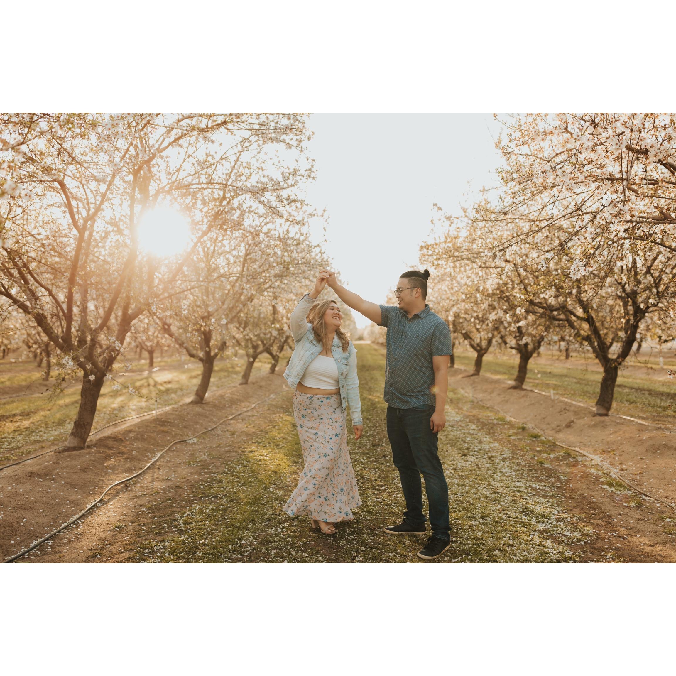 Almond Orchard — Modesto, CA