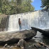 Old Mill Park