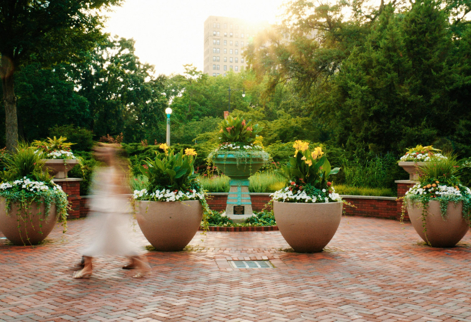 The Wedding Website of Mary Patricia Bailey and Davis Goodloe Van Skiver
