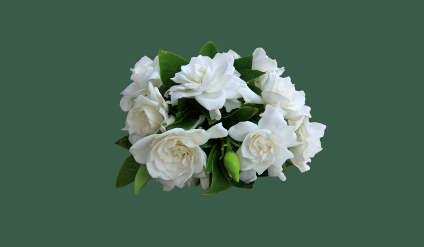 The Wedding Website of Courtney Castleman and Richie Bucher