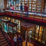 The Mütter Museum