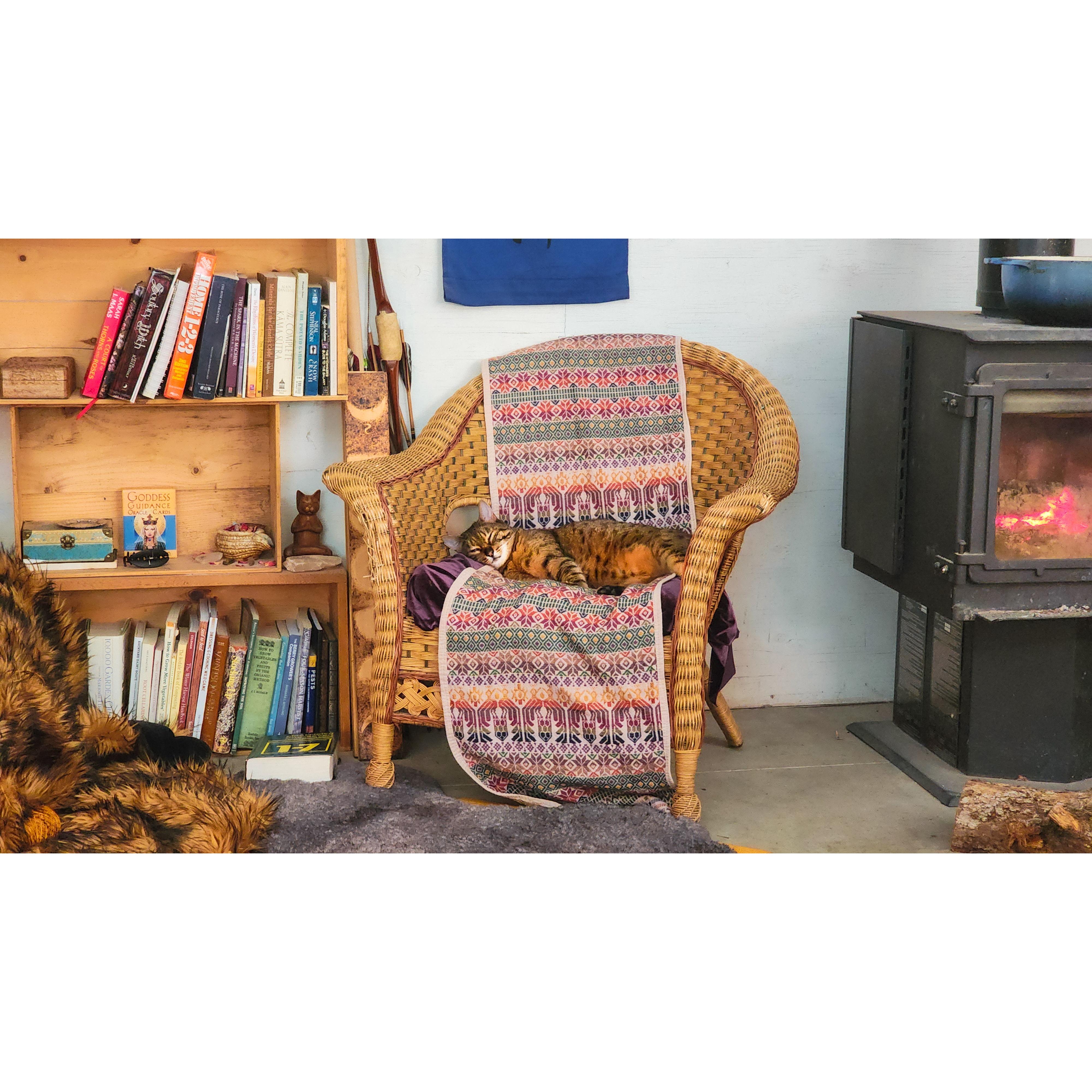 Our sweet kitty Mia, sleeping by the fire.