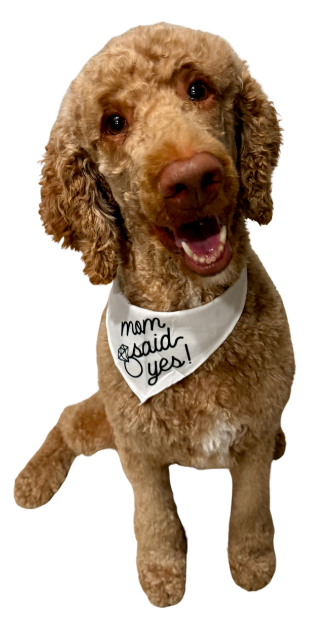 The Wedding Website of Becca Langfelder and Josh Nooromid