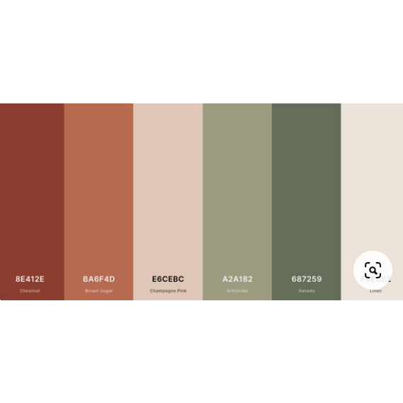 Color scheme