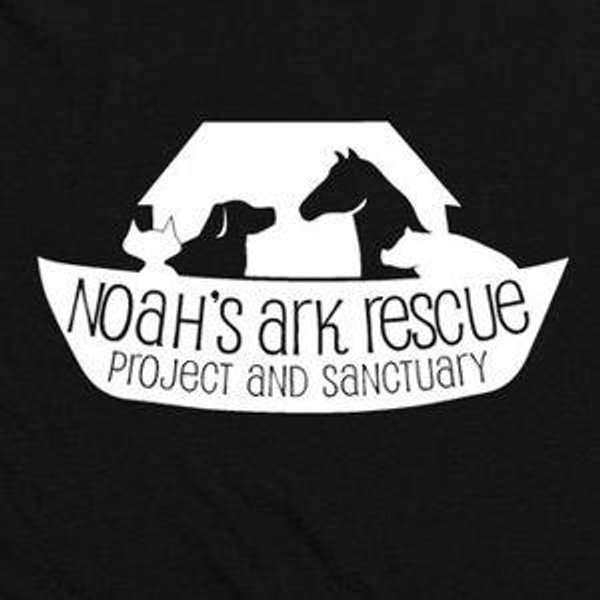 Our Favorite Charity